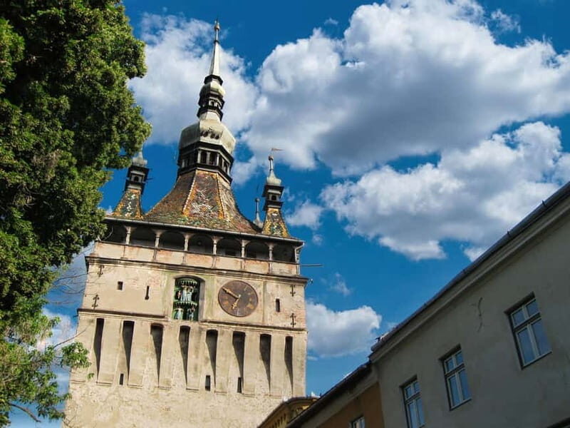 Sighisoara & wine tasting (from Cluj) - A Day in Transylvania: What to Expect