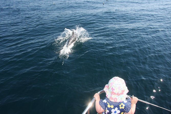 sighting-dolphin-trip-estepona-marbella