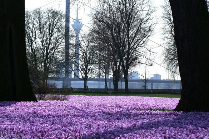 sightrunning-private-running-tour-in-dusseldorf