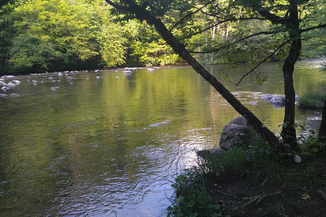 sights-of-smoky-mountains-real-local-history