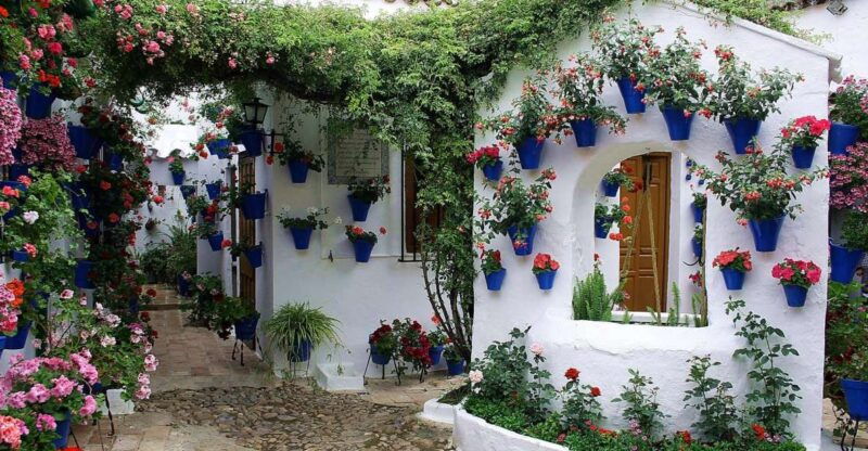 sights-sounds-and-scents-of-cordobas-patios