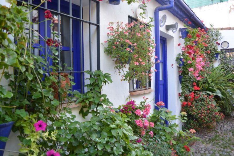 sights-sounds-and-scents-of-cordobas-patios