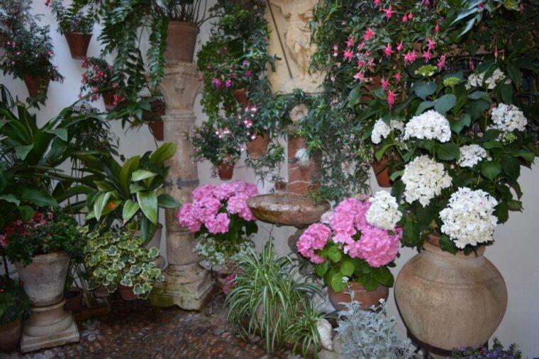 sights-sounds-and-scents-of-cordobas-patios