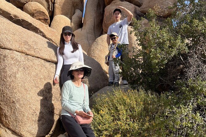 sightseeing-adventure-tour-of-joshua-tree-national-park