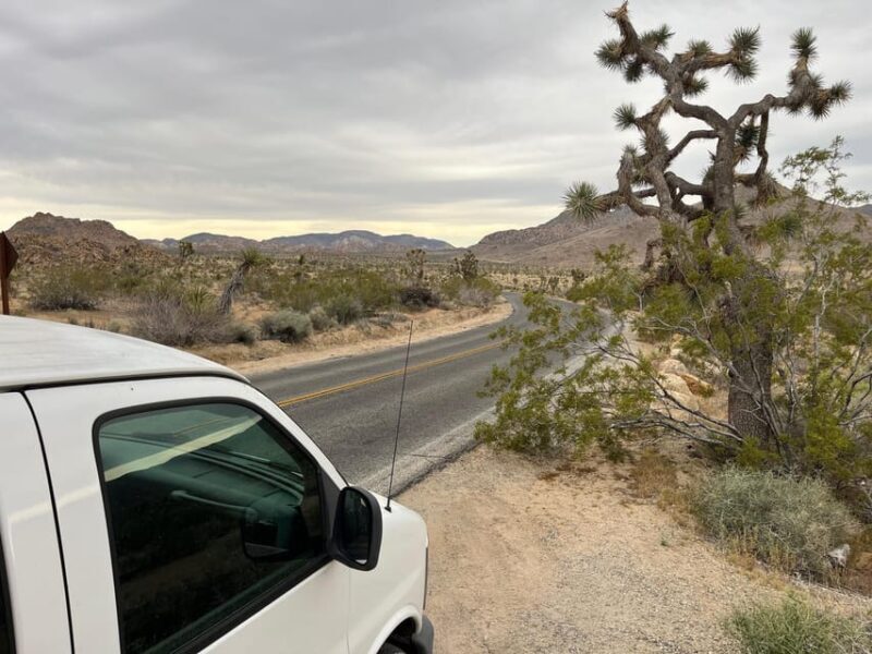 Sightseeing Adventure Tour of Joshua Tree Park (Max 10) - Why We Think This Tour Is Worth It