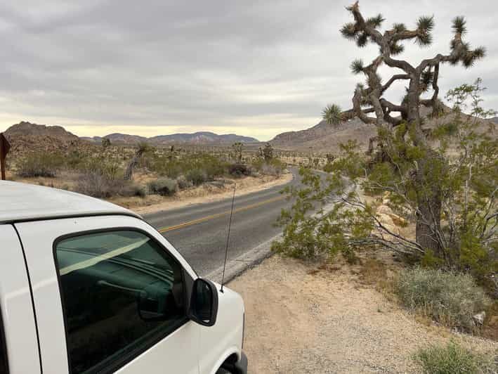 Sightseeing Adventure Tour of Joshua Tree Park (Max 10) - FAQs