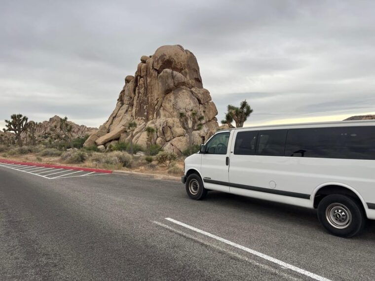 sightseeing-adventure-tour-of-joshua-tree-park-max-10