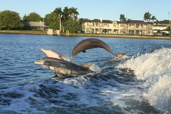 sightseeing-day-cruise-40-vessel