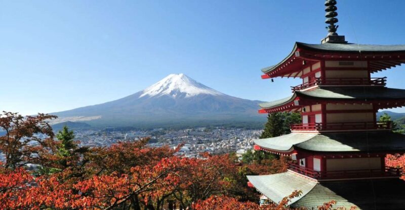 Sightseeing Day Trip to Mount Fuji and Hakone Green Number - The Transportation and Guides