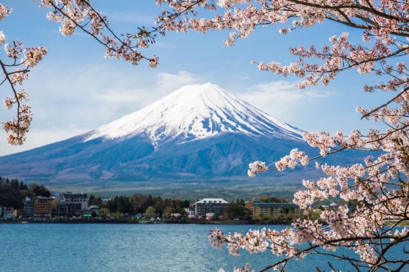 Sightseeing Day Trip to Mount Fuji and Hakone Green Number - Who Will Love This Tour?