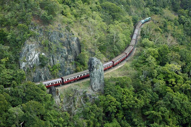 Sightseeing Kuranda Self-Driving Tour - The Sum Up