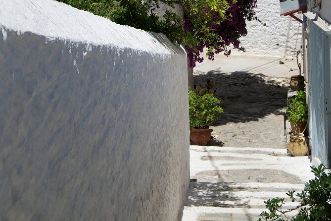 sightseeing-private-tour-in-athens-acropolis-elysium-travel