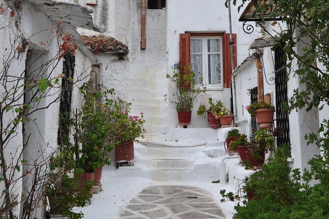 sightseeing-private-tour-in-athens-acropolis-elysium-travel