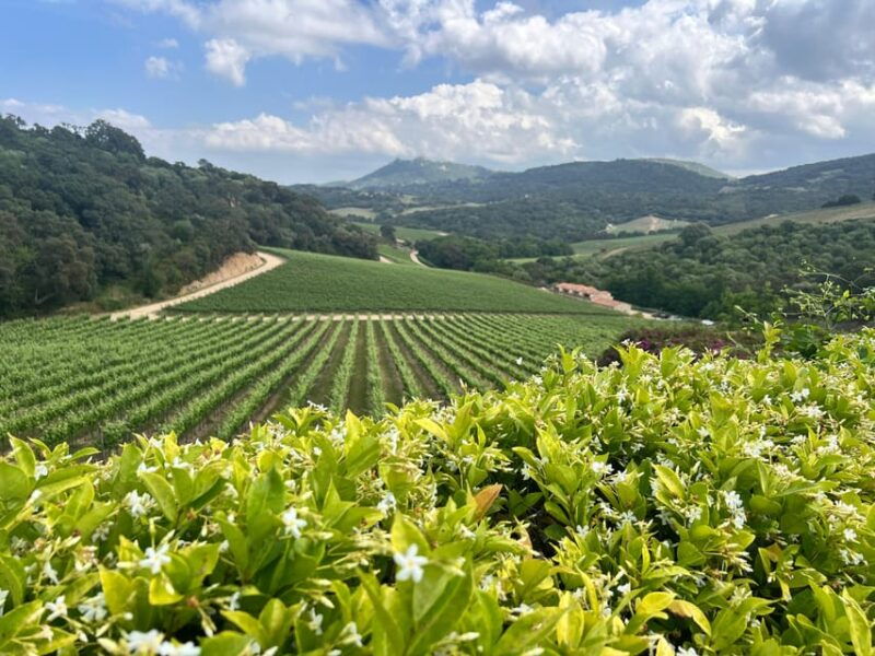 sightseeing-tour-of-the-emerald-coast-with-transfer