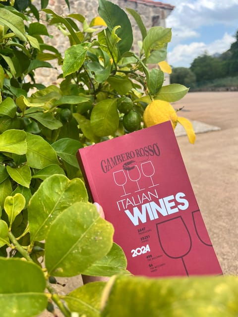 sightseeing-tour-of-the-emerald-coast-with-transfer