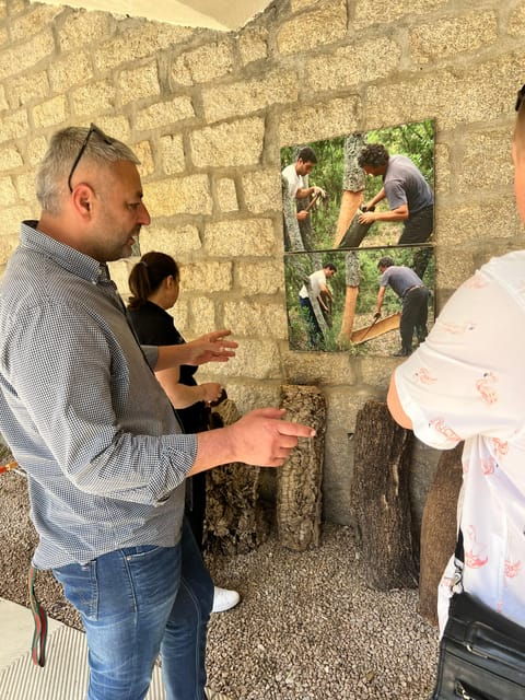 sightseeing-tour-of-the-emerald-coast-with-transfer