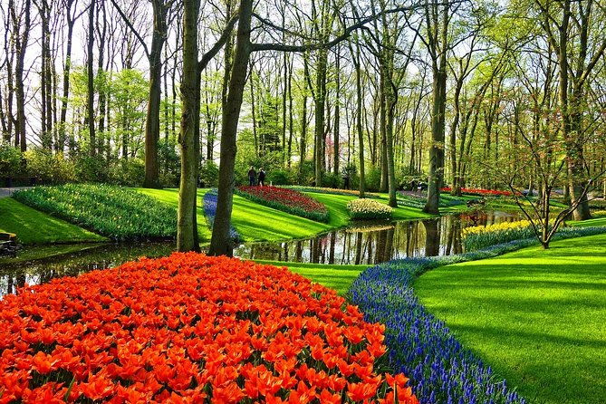 sightseeing-tour-to-keukenhof-tulip-gardens-fields-and-giethoorn-from-amsterdam