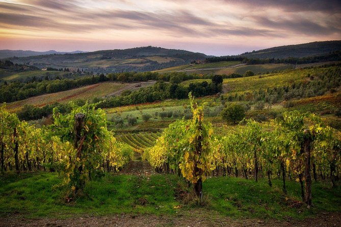 sightseeing-tuscany-by-touring-bike-1-day-rental