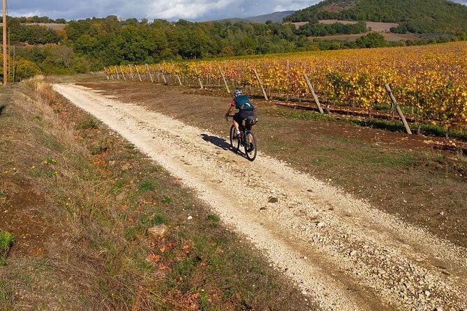 sightseeing-tuscany-by-touring-bike-1-day-rental