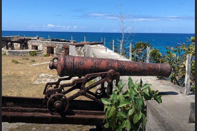 sightseen-tour-and-souvenir-shopping-with-private-transportation-in-montego-bay