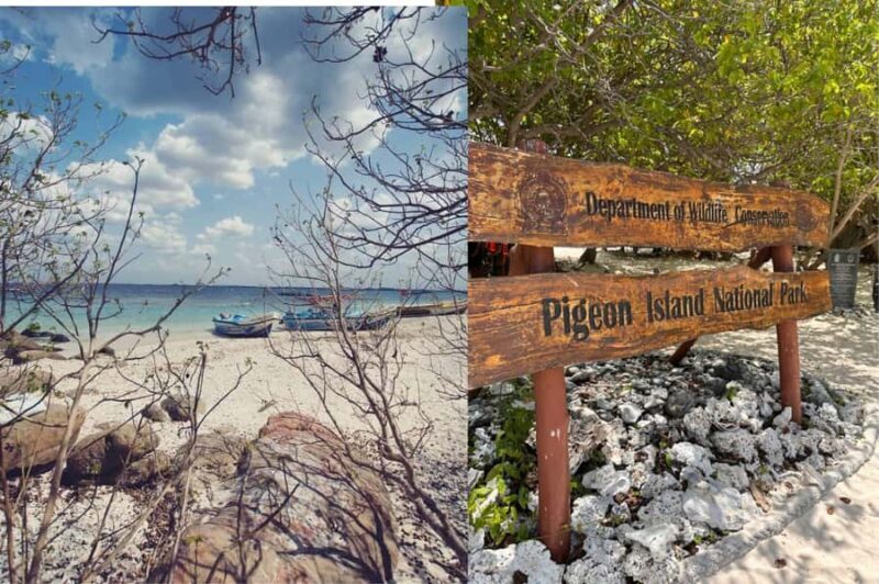 Sigiriya: 2-Day Trincomalee Tour Beach with Whale Watching - Frequently Asked Questions