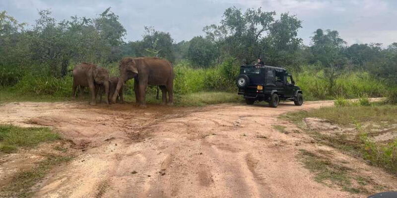 sigiriya-and-dambulla-day-tour-from-galle-bentota
