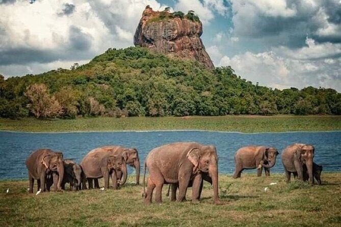 Sigiriya and Dambulla Day Trip from Pasikuda and Kalkuda - Diving into the Details: What to Expect on This Sigiriya and Dambulla Day Trip