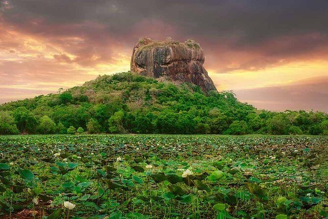 Sigiriya and Dambulla Tour (All Inclusive) - FAQs