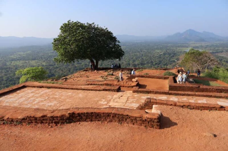 Sigiriya & Dambulla Day tour from Bentota Beruwala Ahungalle - Key Points