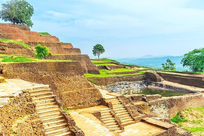 Sigiriya, Dambulla & Jungle Safari: Budget Tour from Colombo - Real-World Insights from Travelers