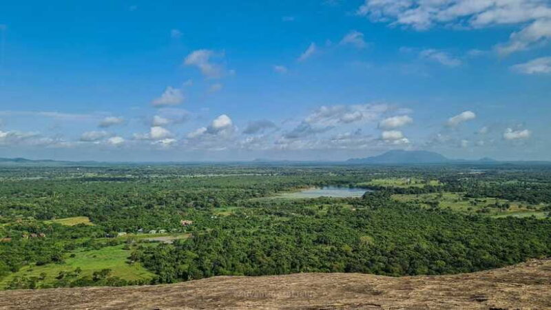 Sigiriya, Dambulla & Safari Day Tour from Colombo - Key Points