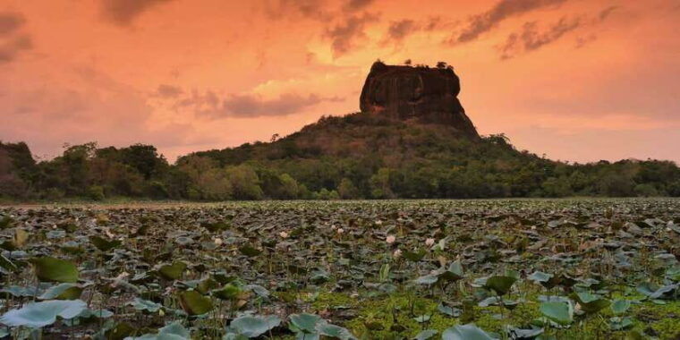 sigiriya-dambulla-temple-village-tour-from-trincomalee