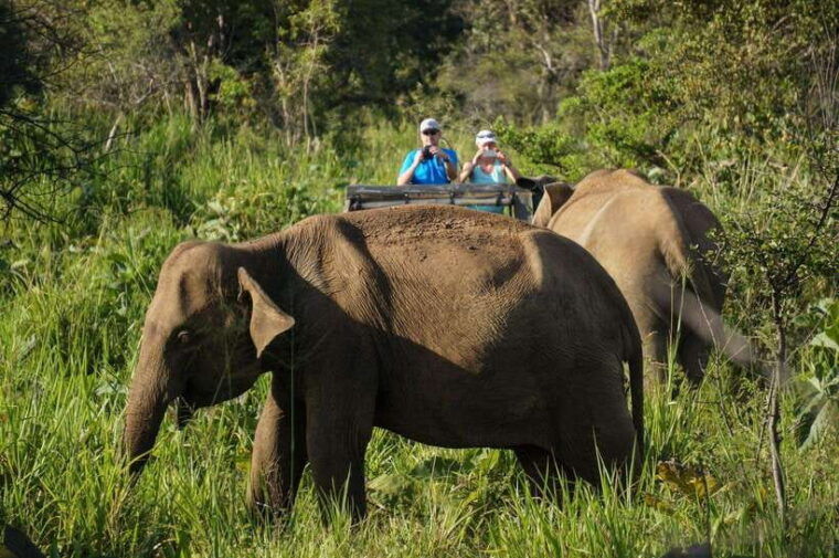 sigiriya-dambulla-with-jeep-safari-tour-from-pasikudah