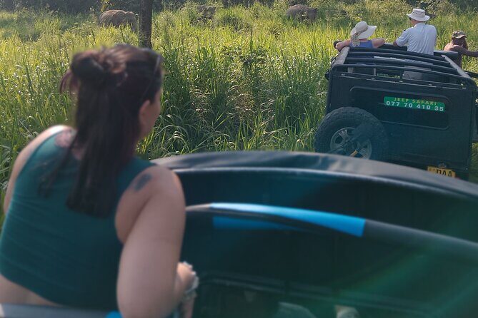 Sigiriya Dambulla Wonders Day Trip from Kandy - An In-Depth Look at the Itinerary