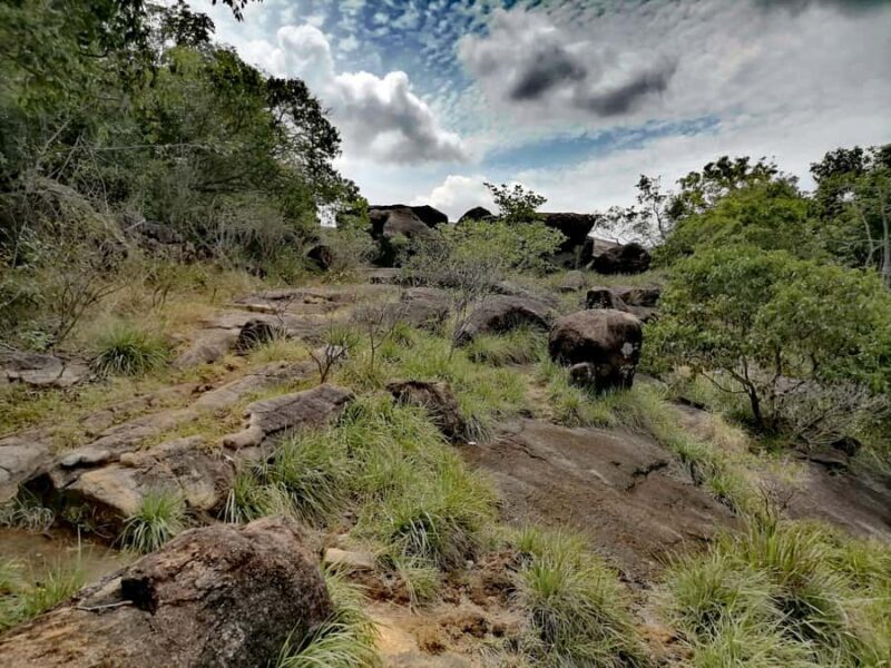 Sigiriya: Dimbulagala/Danigala Guided Hike & Wildlife Safari - Practical Details and Value