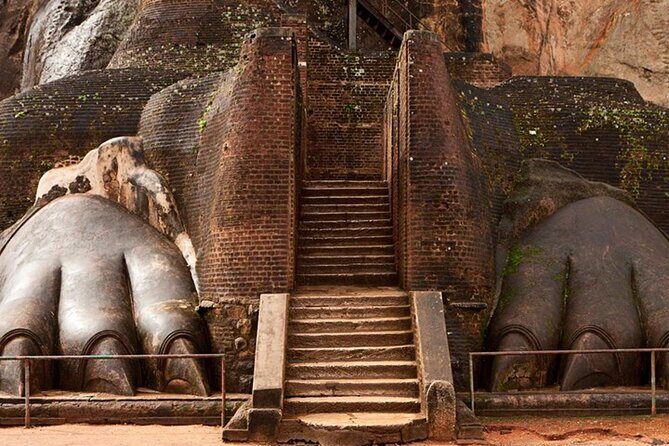 Sigiriya Fortress & Dambulla Day Tour From Colombo, Bentota Area - Safari at Minneriya National Park