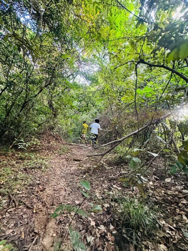 Sigiriya: Jungle Tour with Birdwatching and Wildlife - Why Choose This Tour?