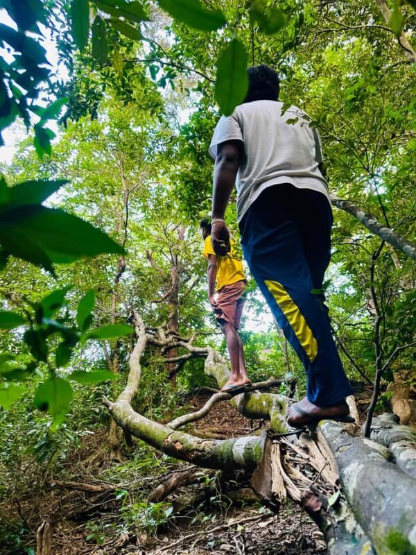 Sigiriya: Jungle Tour with Birdwatching and Wildlife - FAQ