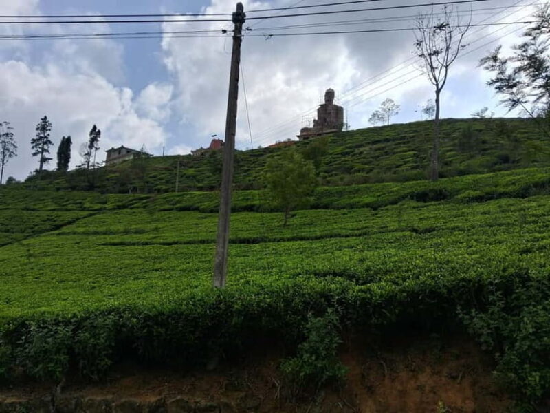 Sigiriya, Kandy, Ella : Explore Sri Lanka's Attractions Tour - An In-Depth Look at the Itinerary and Highlights