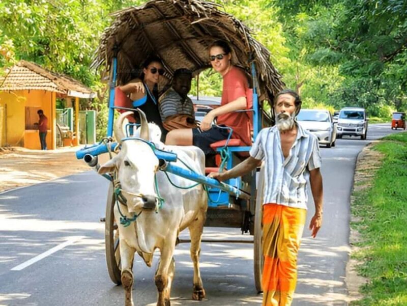 Sigiriya: Kaudulla National Park Safari & Village Tour - Key Points