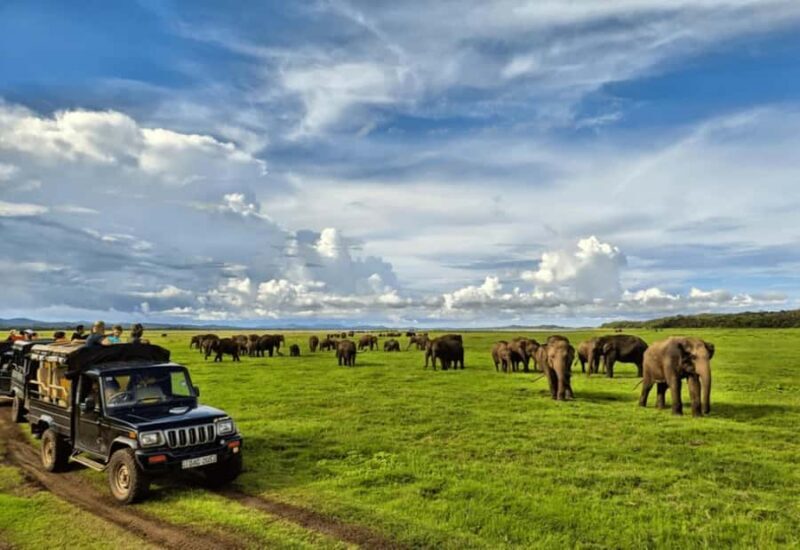 Sigiriya: Kaudulla National Park Safari & Village Tour - Introduction