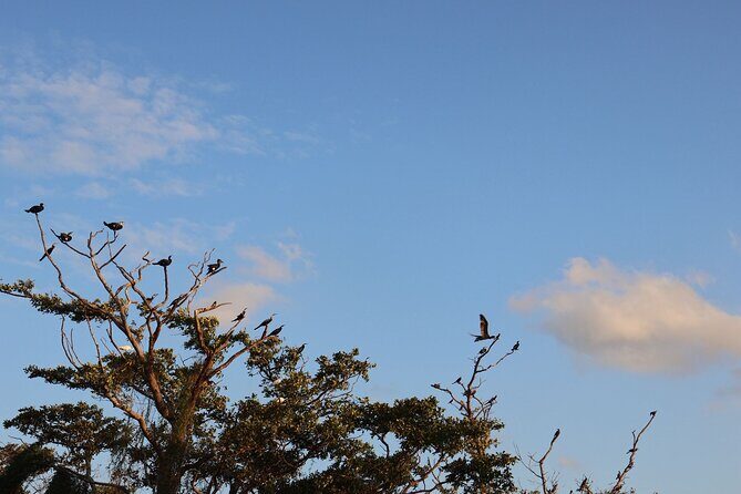 Sigiriya Kayaking with Sunrise and Sunset Experience - What’s Included and What’s Not