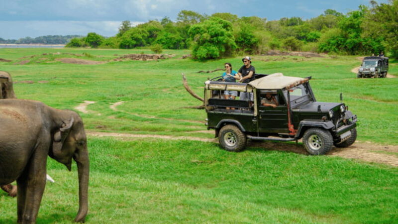 sigiriya-lion-rock-minneriya-national-park-elephant-safari