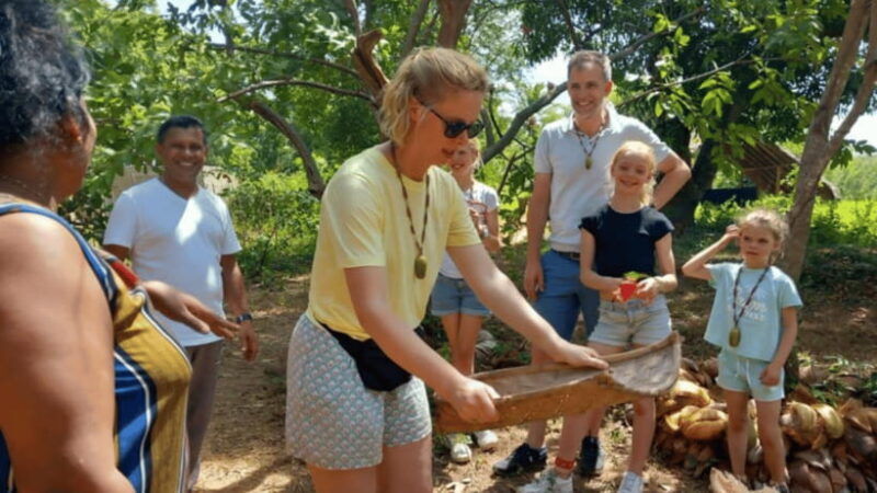 sigiriya-lion-rock-minneriya-national-park-elephant-safari