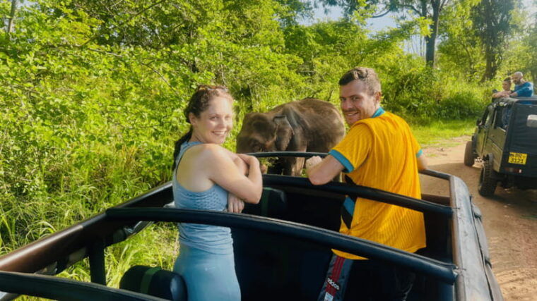 sigiriya-lion-rock-minneriya-national-park-elephant-safari