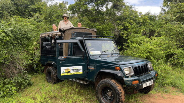 sigiriya-lion-rock-minneriya-national-park-elephant-safari