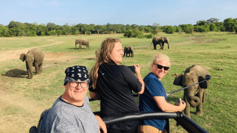 Sigiriya: Lion Rock & Minneriya Safari Full Day Private Tour - Why This Tour Works Well