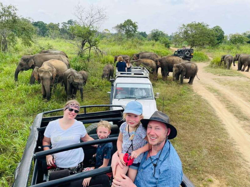 sigiriya-minneriya-park-safari-in-golden-hours-4x4-jeep