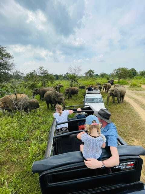 sigiriya-minneriya-park-safari-in-golden-hours-4x4-jeep
