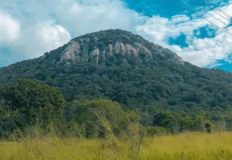Sigiriya: Ritigala Forest Monastery & Dambulla Temple Tour - A Closer Look at the Experience